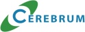 CEREBRUM CEREBRUM