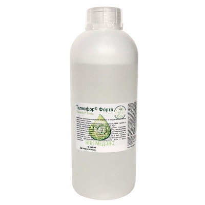 Телесфор Форте