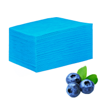 Простыни одноразовые голубые в сложении 80x200 см (25 штуп)